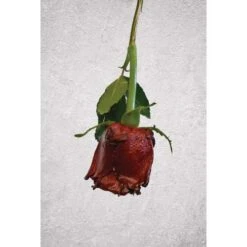 ARTIDEE | CREARTEC Immersion Rust - Set -Golden Store ARTIDEE7CCREARTECImmersionRust set 3