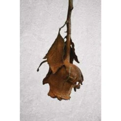 ARTIDEE | CREARTEC Immersion Rust - Set -Golden Store ARTIDEE7CCREARTECImmersionRust set 5