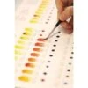 Winsor & Newton Professional Watercolour Dot Card -Golden Store Winsor26amp3BNewtonProfessionalWatercolourDotCard
